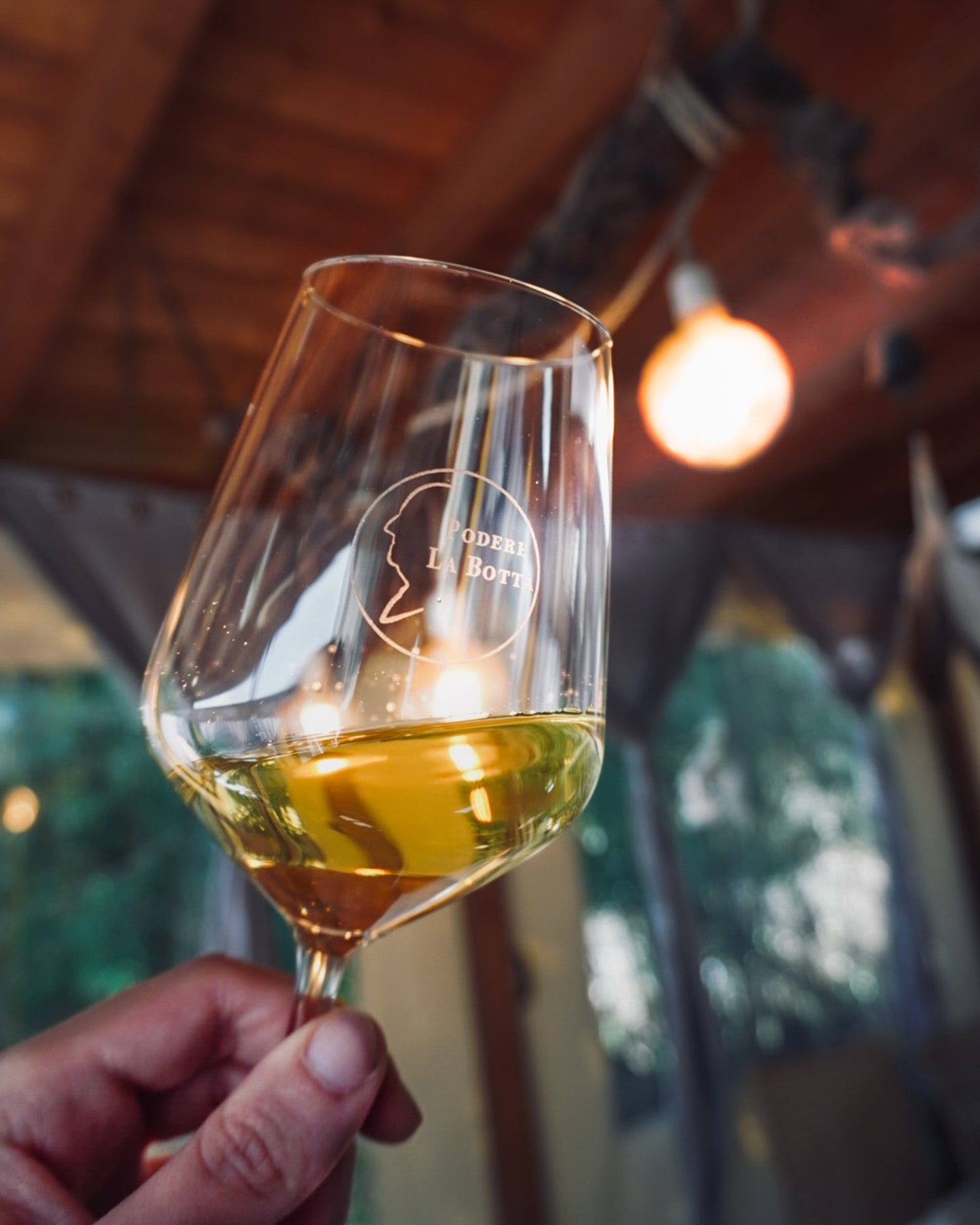 Buono Esperienza - Podere la Botta