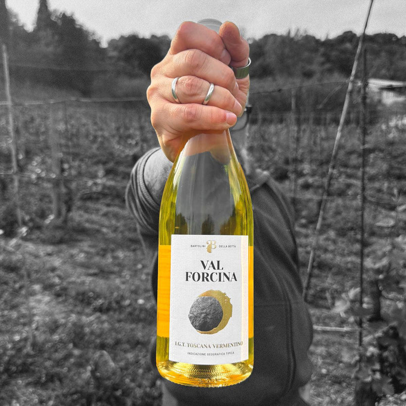 Val Forcina IGT - Vermentino